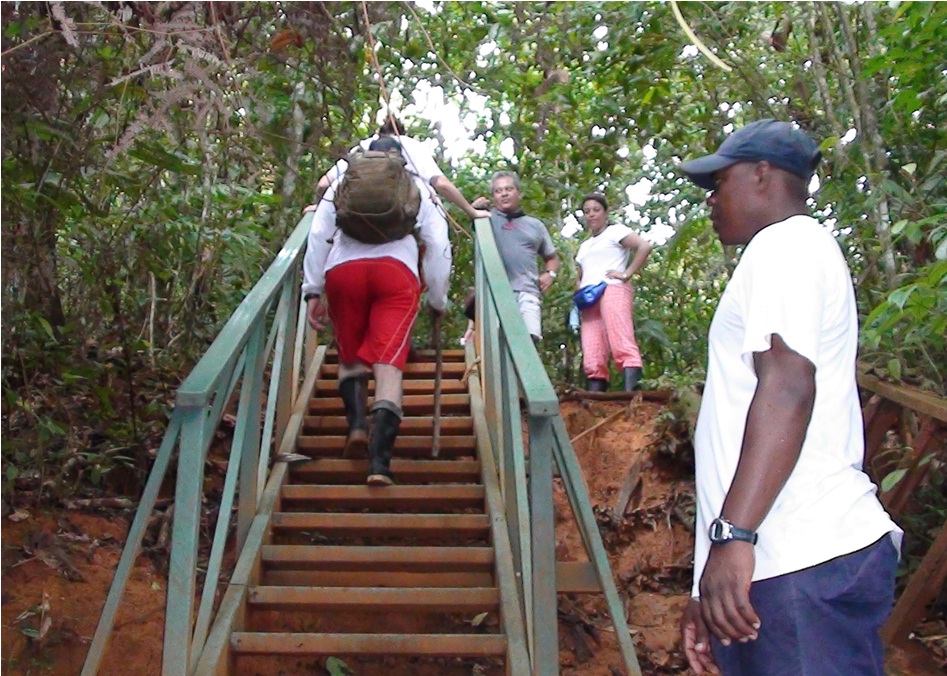 puentes escaleras caminos senderos escaleras para pasos inclinados subir pendientes resbalosas con escaleras maderas plásticas maderplast escalera de asenso peligroso resbaloso campo agrícola 0 puentes escaleras caminos senderos escaleras para pasos inclinados subir pendientes resbalosas con escaleras maderas plásticas maderplast escalera de asenso peligroso resbaloso campo agrícola 0